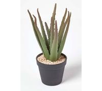 Homescapes Aloe Vera Artificial Succulent In Black Pot, 30 Cm Tall In Green Green One Size