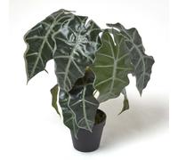 HOMESCAPES Artificial Elephant Ear Plant in Pot 50 cm Tall Faux Alocasia Amazonica Polly Plant with Real Touch Leaves for Indoor Decoration