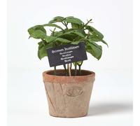 HOMESCAPES Artificial Basil in Terracotta Pot Decorative Faux Herbs Potted in Decorative Distressed Planter for Indoor Decoration, 15 cm Tall