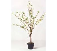 Homescapes Artificial Blossom Tree With Silk Flowers, 135 Cm (4’4") In Cream Cream One Size