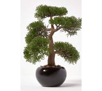 Homescapes Artificial Bonsai Tree In Black Ceramic Pot In Green Green