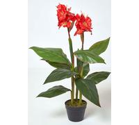 Artificial Canna Lily Plant, 90 cm Tall Homescapes Green One Size