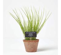 Artificial Chive Plant in Decorative Pot Homescapes Terracotta One Size