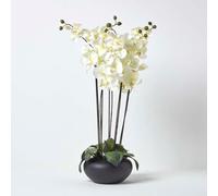 Homescapes Large Oriental Style Cream Orchids in Black Bowl