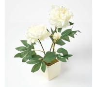 (Cream) Artificial Peonies in Decorative Pot, 48 cm Tall