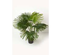Homescapes Artificial Fan Palm Tree In Pot, 80 Cm Tall In Green Green