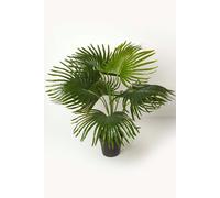 Homescapes Artificial Fan Palm Tree in Pot, 80 cm Tall