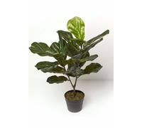 Homescapes Artificial Fiddle Leaf Fig Tree In Pot, 75 Cm Tall In Green Green One Size