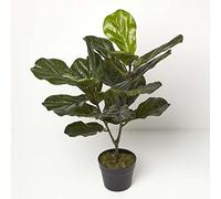 HOMESCAPES Artificial Fiddle Leaf Tree 75 cm Tall with Wood Effect Trunk Faux Ficus Fig Tree in Black Pot for Indoor Decoration