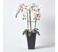 Artificial Flowers White Orchid in a Black Pot, 70 cm Homescapes White One Size