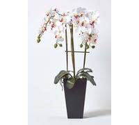 Artificial Flowers White Orchid in a Black Pot, 70 cm Homescapes White One Size