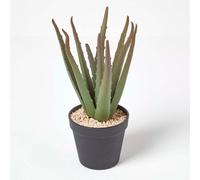 HOMESCAPES Lifelike Small Artificial Succulent Potted Aloe Vera Plant In Round Black Plastic Pot, 30cm Tall Lifelike Faux Cactus For Indoor Decoration