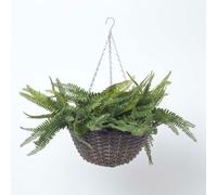 Homescapes Boston Fern Artificial Hanging Basket, 65 cm