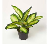 Homescapes Artificial Green Handcrafted Dieffenbachia Dumb Cane Plant In Pot, 50 Cm