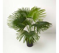 Homescapes Artificial Fan Palm Tree in Pot, 80 cm Tall in Green Homescapes Green