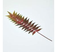 Homescapes Fern Leaf Foliage 72 cm in Green Homescapes Green