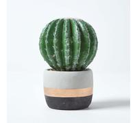 Homescapes Golden Barrel Artificial Cactus in Contemporary Stone Pot, 19 cm Tall