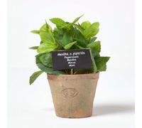 Homescapes Artificial Green Handcrafted Mint Plant In Decorative Pot, 17 X 14 Cm