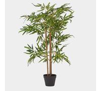 Homescapes Luxury 100Cm Artificial Bamboo Tree Real Wood Stem Plant, Black Pot In Green Green