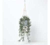 Homescapes Artificial Hanging Basket Green Rhipsalis Plant, 116 cm - Green