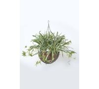 HOMESCAPES Artificial Hanging Basket 60 cm Long Faux Spider Plant Hanging Plant In Replica Wicker Pot with Silver Metal Chain and Hook for Indoor and Outdoor Decoration