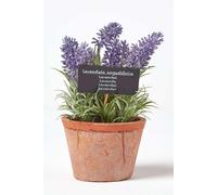 HOMESCAPES Artificial Lavender in Terracotta Pot Decorative Faux Purple Potted Heather Plant in Decorative Distressed Planter for Indoor Decoration, 15 cm Tall