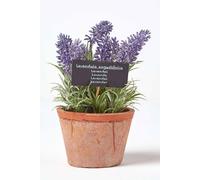 Homescapes Artificial Lavender Plant In Decorative Pot In Terracotta Terracotta
