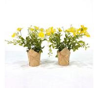 Homescapes Artificial Narcissus In Kraft Paper Pots, Set Of 2, Yellow (20Cm)