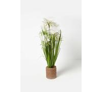 Homescapes Artificial Open Flower Grass Plant In Rope Pot in Green Homescapes Green