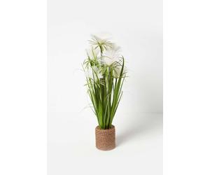 Homescapes Artificial Open Flower Grass Plant In Rope Pot In Green Green