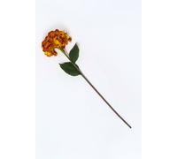 Homescapes Artificial Orange Hydrangea Stem, 81 Cm