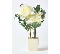 Homescapes Artificial Peonies In Decorative Pot, 48 Cm Tall In Cream Cream