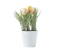 HOMESCAPES Pink & Cream Artificial Tulips Plant In White Plastic Pot 22cm Tall Faux Decorative Potted Plant For Indoor Decoration