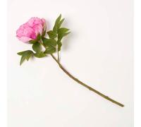 Homescapes Artificial Stem Of Dried Peony Flowers In Pink Pink One Size
