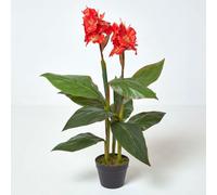 Artificial Canna Lily Plant, 90 cm Tall Homescapes Green One Size