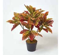 Homescapes Artificial Red Handcrafted 'rushfoil' Croton Plant With Pot, 65 Cm