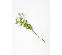 Homescapes Artificial Stem Of Wild Daisy Flowers, 55 Cm In White White One Size