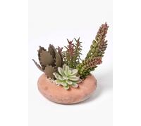 Homescapes Artificial Succulent Arrangement in Decorative Round Terracotta Pot in Green Homescapes Green