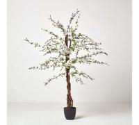Homescapes Artificial Blossom Tree with White Silk Flowers - 5 Feet