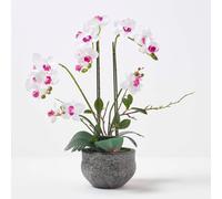 Homescapes Artificial White Handcrafted Extra Large Orchid Phalaenopsis In Cement Pot, 5 Stems, 52 Cm