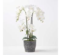 Homescapes White Orchid 82 cm Phalaenopsis in Ceramic Pot Extra Large, 4 Stems Homescapes White