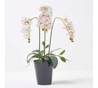 Homescapes Artificial White Handcrafted Orchid Phalaenopsis In Ceramic Pot, 56 Cm