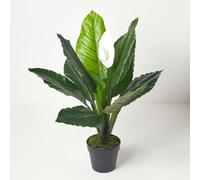 Homescapes White Peace Lily in Pot, 90 cm Tall in Green Homescapes Green