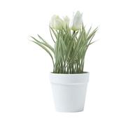 (White) Artificial Tulips in White Decorative Pot, 22 cm Tall
