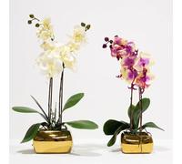 Homescapes Artificial White Orchid in Gold Vase, Set of 2 Faux Potted Flowers Homescapes White