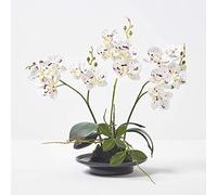 White Orchid 38 cm Phalaenopsis in Ceramic Pot Homescapes White One Size
