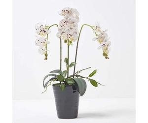 HOMESCAPES Artificial White Orchid in Pot 56 cm Tall Lifelike Faux Orchid Plant In Black Ceramic Pot with Real Touch Silk Flowers and Green Leaves Phalaenopsis Orchid Flower for Indoor Decoration