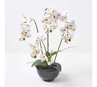 HOMESCAPES Artificial White Orchid in Pot 62 cm Tall Lifelike Faux Orchid Plant In Black Ceramic Bowl with Real Touch Silk Flowers and Green Leaves Phalaenopsis Orchid Flower for Indoor Decoration