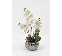 Homescapes Artificial White Orchid in Silver Dappled Pot Homescapes White