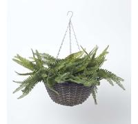 Homescapes Boston Fern Artificial Hanging Basket, 65 cm - Green